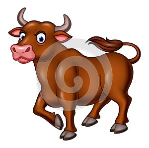 Cartoon angry bull isolated on white background