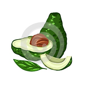 Illustration of cartoon avocados. Various elements of avocado slices with pits and leaves. Keto diet. Ingredients for Guacomole.