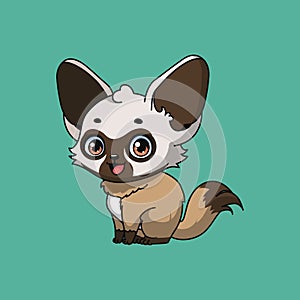 Illustration of a cartoon bat eared fox on colorful background photo