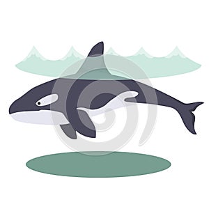 Illustration of a cartoon beautiful killer whale underwater