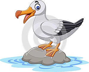 Cartoon cute bird albatross standing on a rock