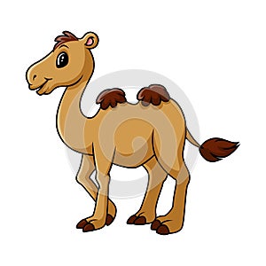 Cartoon funny camel smile and standing