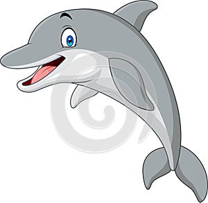 Cartoon funny dolphin