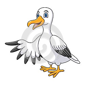 Cartoon funny seagull presenting isolated on white background