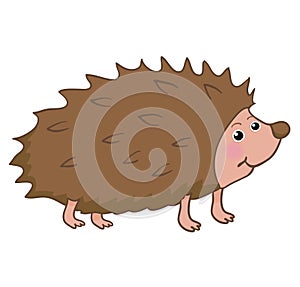 Illustration of a cartoon hedgehog photo