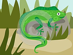 Illustration of a cartoon iguana in the grass on a stone. An illustration with a funny iguana. A green lizard at