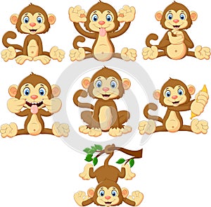Cartoon monkeys collection set photo