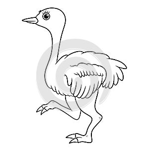 Illustration of a cartoon ostrich coloring page