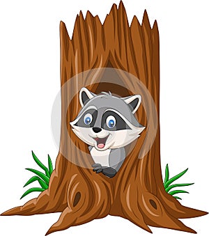 Cartoon raccoon sitting in hollow of a tree