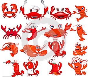 Cartoon shrimp and crab collection set