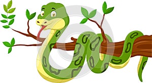 Cartoon snake in the tree