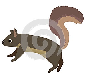 Illustration cartoon  squirrel