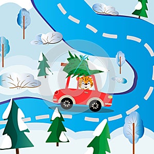 Illustration of a cartoon tiger cub driving a car with a Christmas tree on the roof.