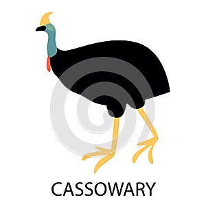 Illustration with cassowary.Cute cartoon character. Australian bird