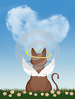 Illustration of cat angel in the heaven