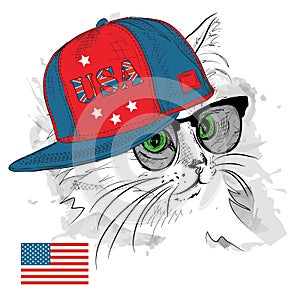 Illustration of cat in the glasses, headphones and in hip-hop hat with print of USA. Vector illustration.