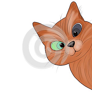 Illustration of a cat head with different eye colour