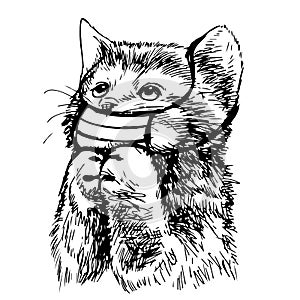 Illustration of cat with mask hand drawn
