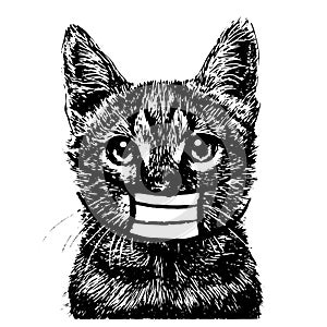 Illustration of cat with mask hand drawn