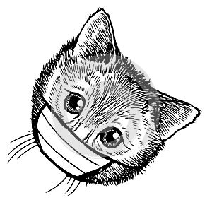 Illustration of cat with mask hand drawn