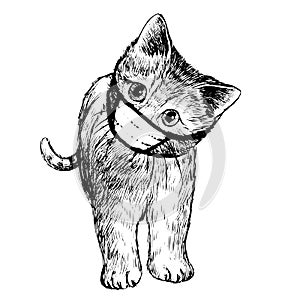 Illustration of cat with mask hand drawn