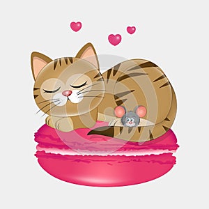 illustration of cat sleeping on macaron