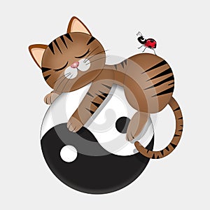 illustration of cat sleeps on the tao symbol