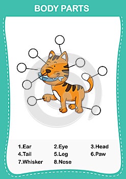 Illustration of cat vocabulary part of body