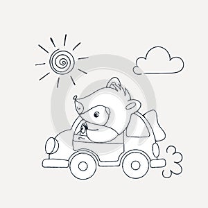 Illustration with a cheerful racoon in car