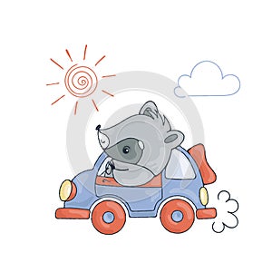 Illustration with a cheerful racoon in car