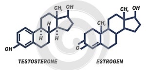 Illustration of chemical formula for male and female hormones Testosterone and Estrogen