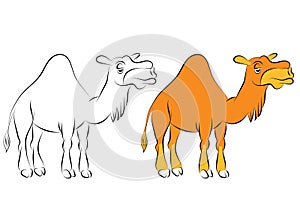 Illustration of the chewing orange camel with one hump