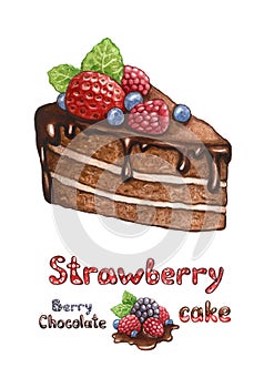 Illustration of chocolate cake with berries