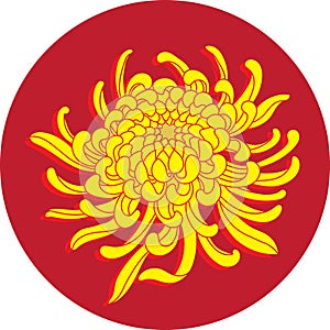 Illustration of Chrysanthemum flower on red circle background