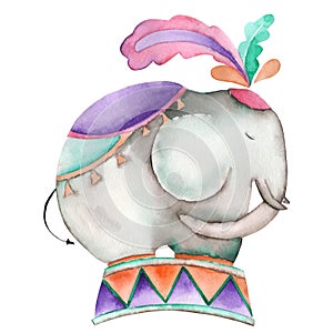 An illustration of a circus elephant painted in watercolor on a white background