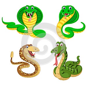 The collection of the big snakes in the different expression