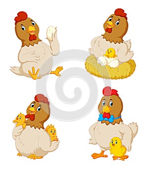 Collection of cute chicken with various posing