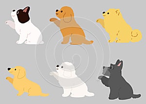 Illustration Collection of small sized dogs shaking hands flat colored