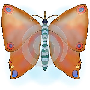Illustration colored butterfly