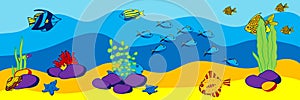 Illustration of colored fish, seaweed, seashell and stones