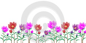 Illustration colorful of the flower isolated on white background