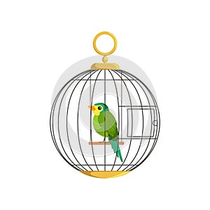 Illustration of colorful little bird in cage. Green singing finch. Hanging cell in round shape. Domestic canary. Flat
