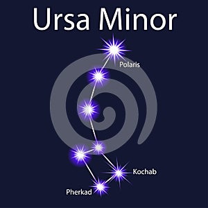 Illustration constellation Ursa Minor with stars Pherkad, Kocha