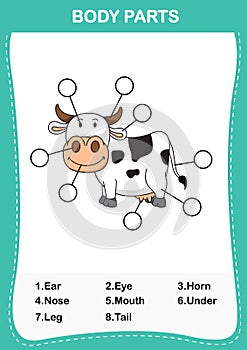 Illustration of cow vocabulary part of body