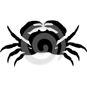 Illustration of a crab. Marine arthropod animal. A relative of cancer, lobster, shrimp