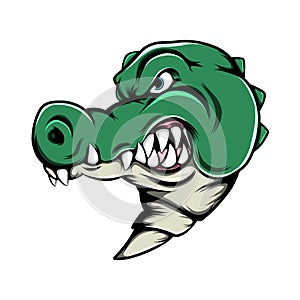 The crocodile head with the sharp teeth pose from the side