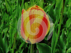 Illustration. Cross-stitch. Tulip flower.
