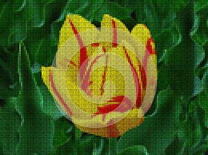 Illustration. Cross-stitch. Tulip flower.