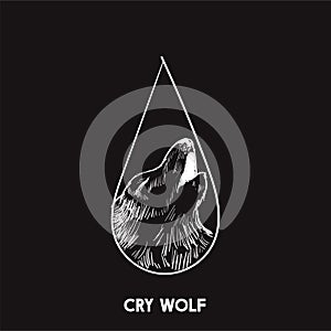 Illustration of cry wolf idiom