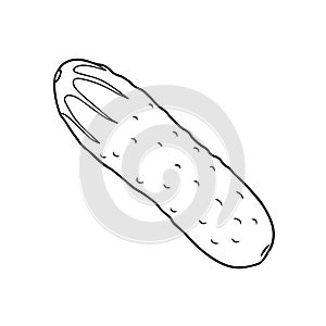 Illustration of a cucumber in a hand-drawn style.